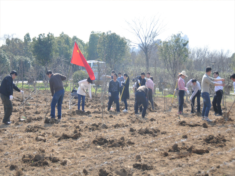 ������Ϸ���ٷ�(�й�)