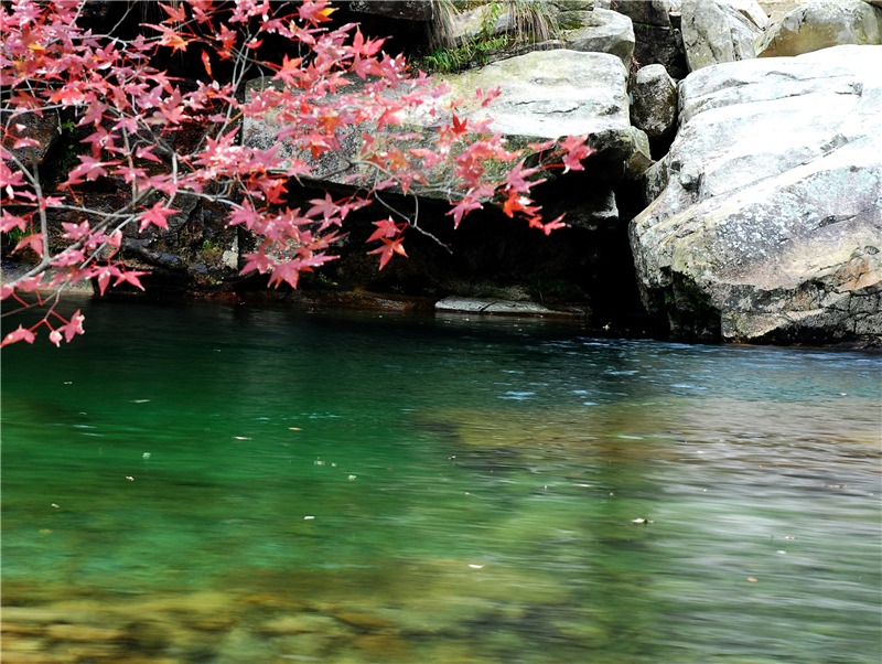 ������Ϸ���ٷ�(�й�)