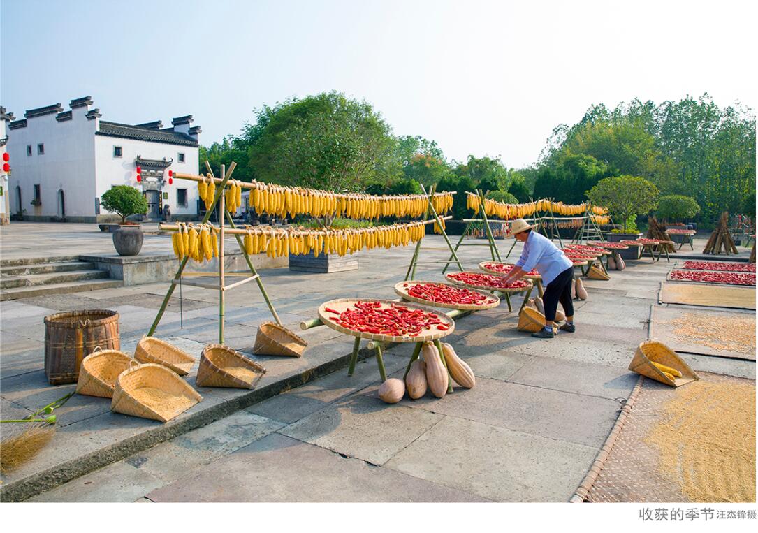 ������Ϸ���ٷ�(�й�)