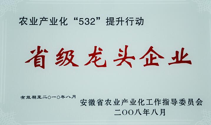 ������Ϸ���ٷ�(�й�)