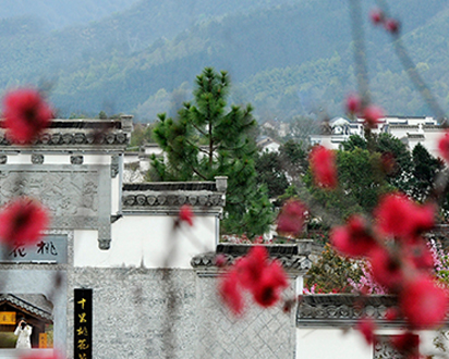 ������Ϸ���ٷ�(�й�)