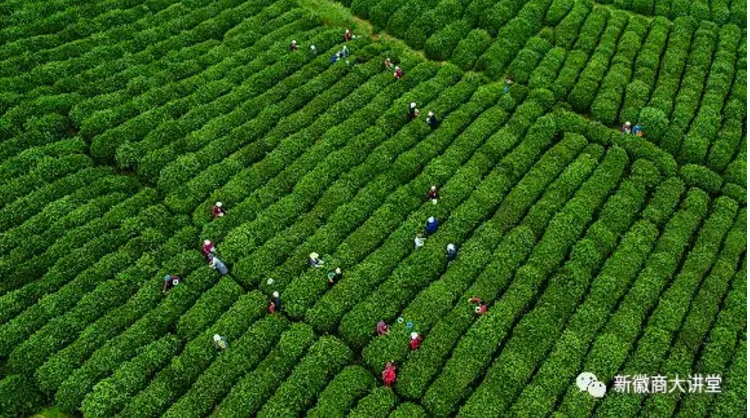 ������Ϸ���ٷ�(�й�)