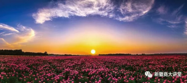 ������Ϸ���ٷ�(�й�)