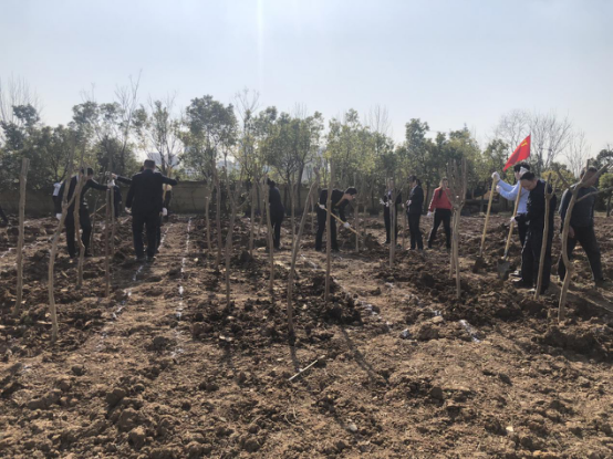 百亿游戏·官方(中国)