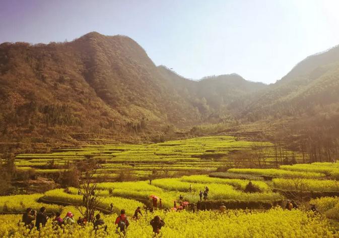 ������Ϸ���ٷ�(�й�)