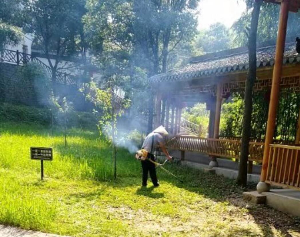 ������Ϸ���ٷ�(�й�)