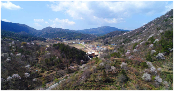 ������Ϸ���ٷ�(�й�)