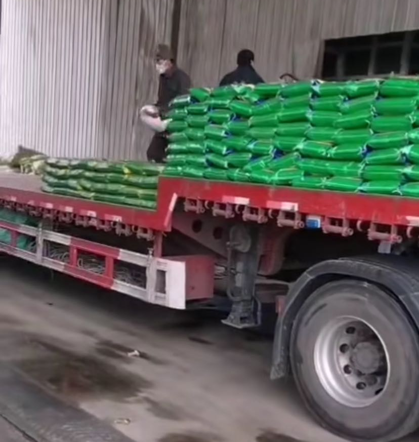 ������Ϸ���ٷ�(�й�)