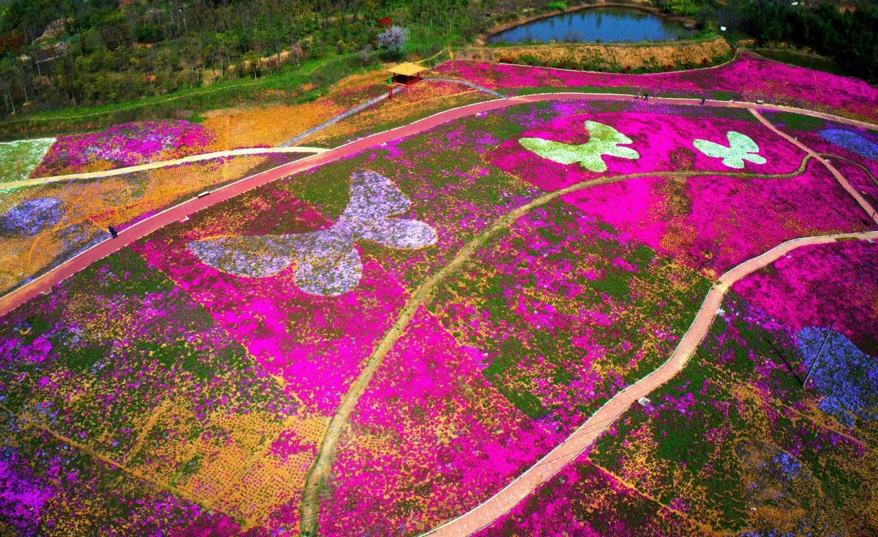 ������Ϸ���ٷ�(�й�)