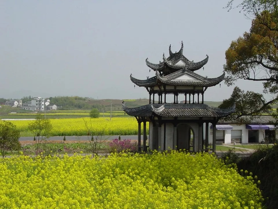 ������Ϸ���ٷ�(�й�)