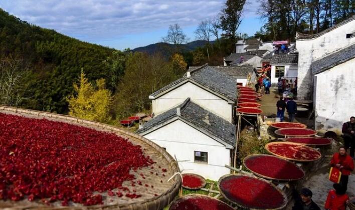 ������Ϸ���ٷ�(�й�)