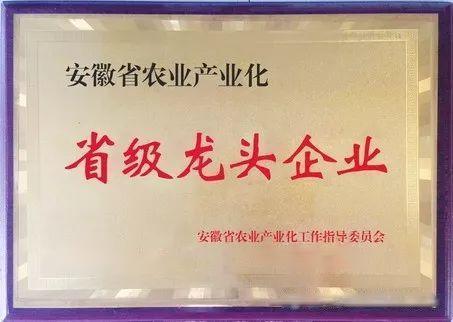 ������Ϸ���ٷ�(�й�)