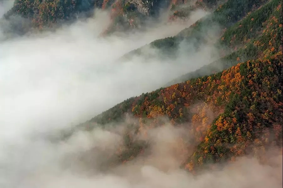 ������Ϸ���ٷ�(�й�)