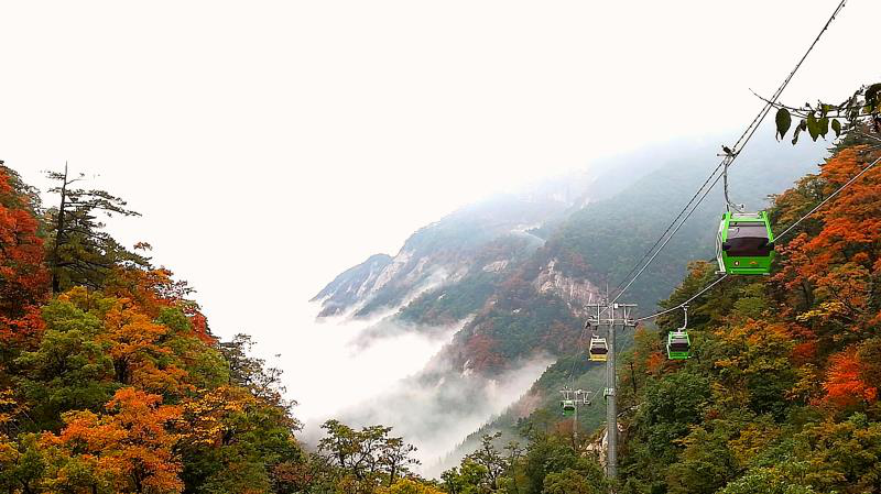 ������Ϸ���ٷ�(�й�)