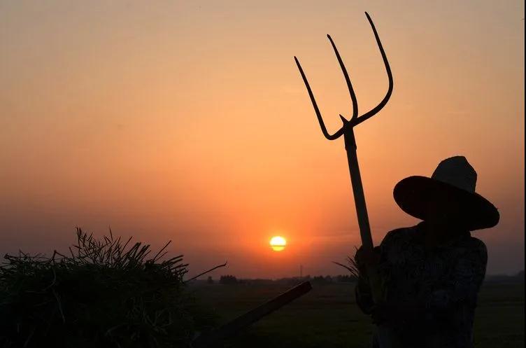 ������Ϸ���ٷ�(�й�)