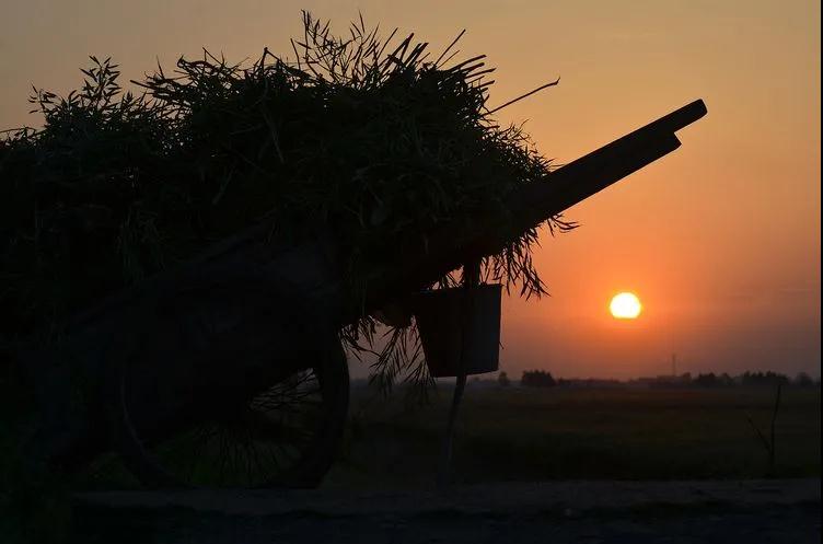 ������Ϸ���ٷ�(�й�)