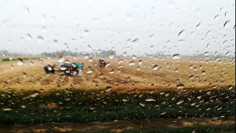 ������Ϸ���ٷ�(�й�)