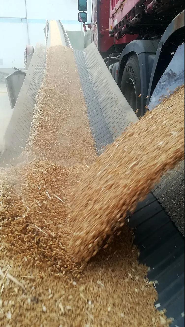 ������Ϸ���ٷ�(�й�)