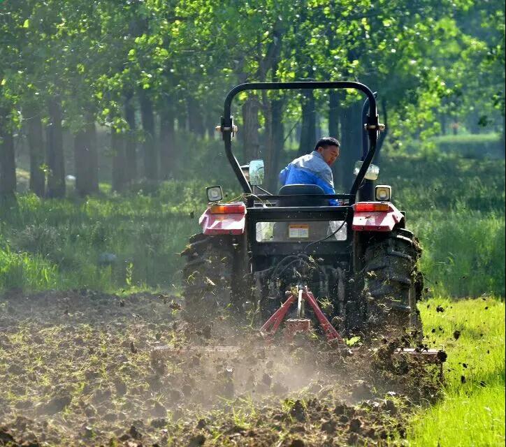 ������Ϸ���ٷ�(�й�)