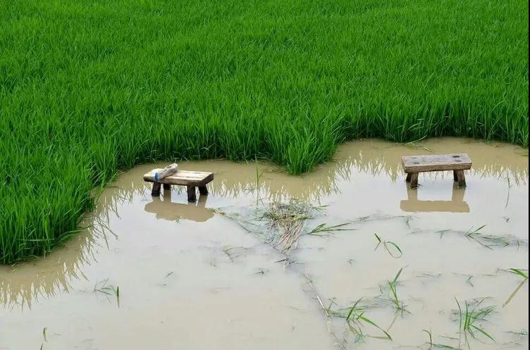 ������Ϸ���ٷ�(�й�)