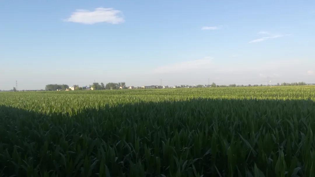 ������Ϸ���ٷ�(�й�)