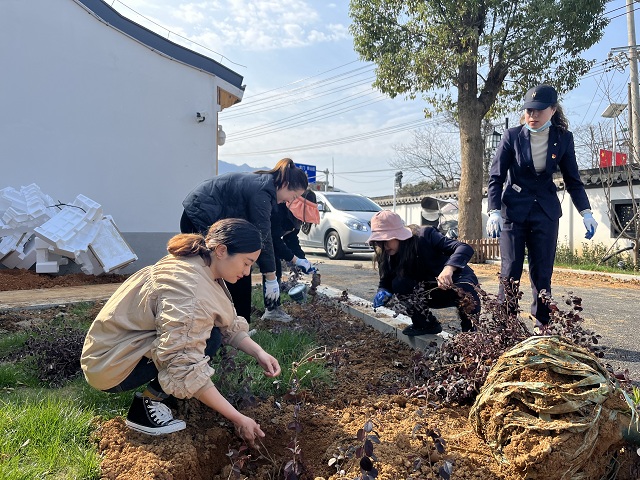 ������Ϸ���ٷ�(�й�)