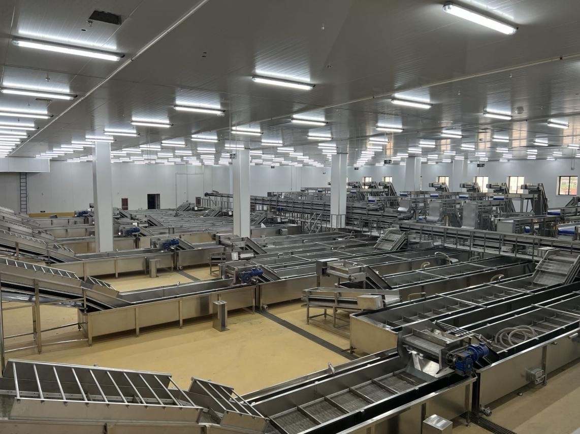 ������Ϸ���ٷ�(�й�)