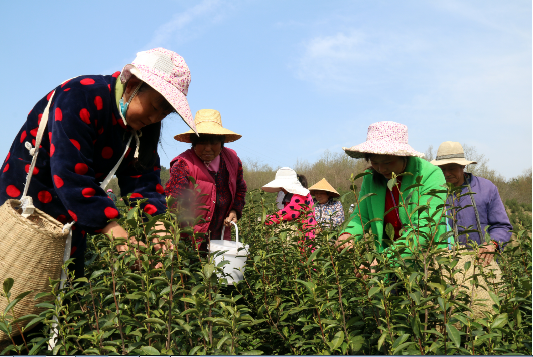 ������Ϸ���ٷ�(�й�)