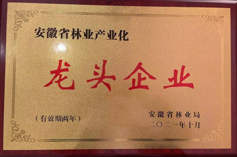 ������Ϸ���ٷ�(�й�)