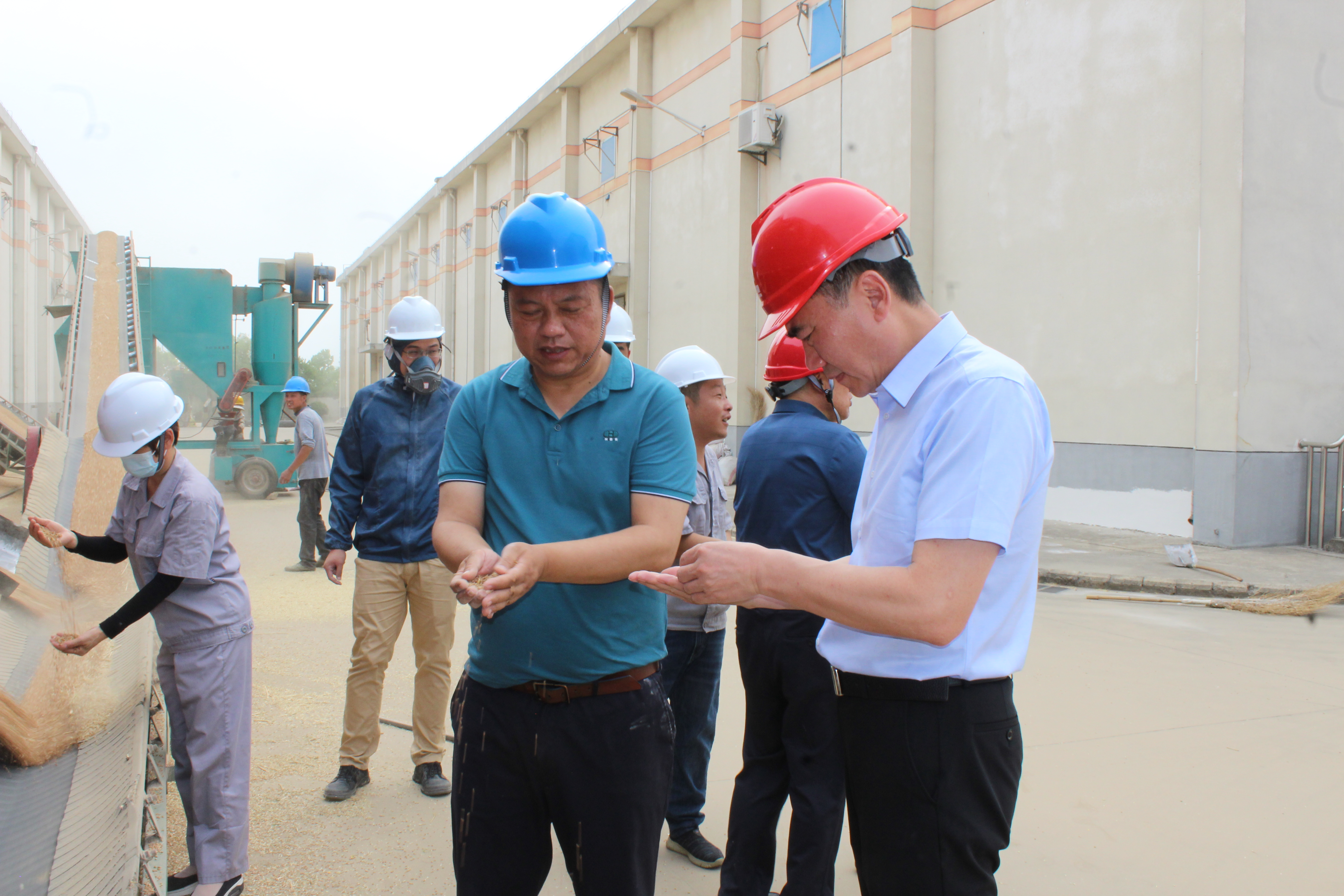 ������Ϸ���ٷ�(�й�)