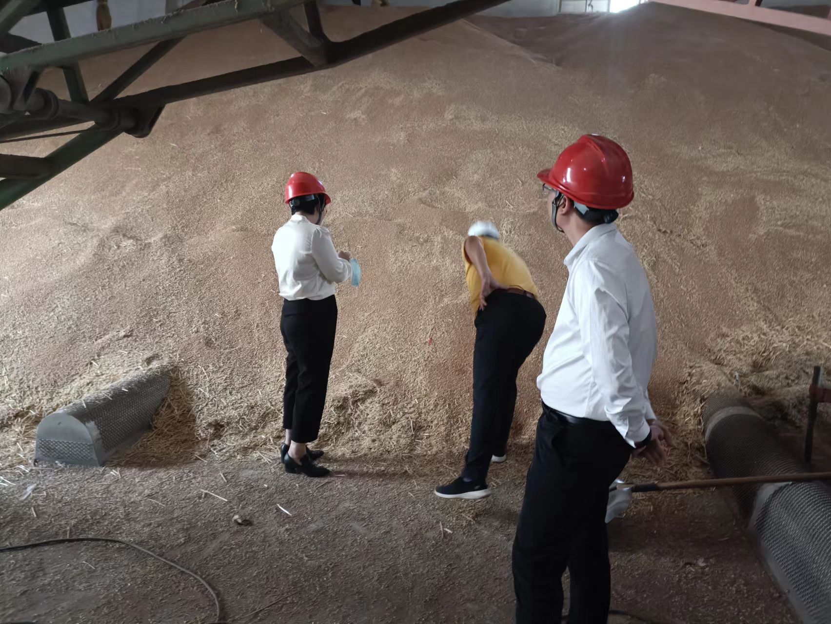 ������Ϸ���ٷ�(�й�)