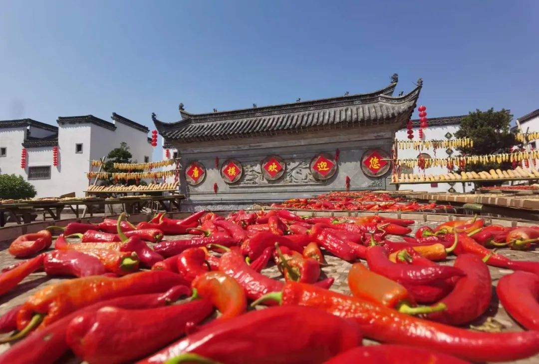 ������Ϸ���ٷ�(�й�)