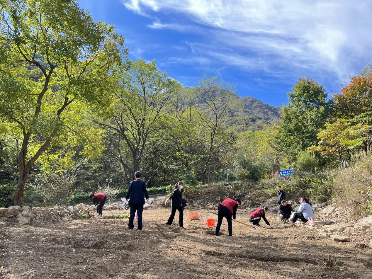 ������Ϸ���ٷ�(�й�)