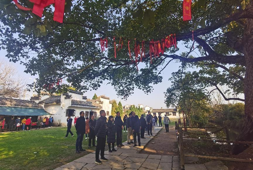 ������Ϸ���ٷ�(�й�)