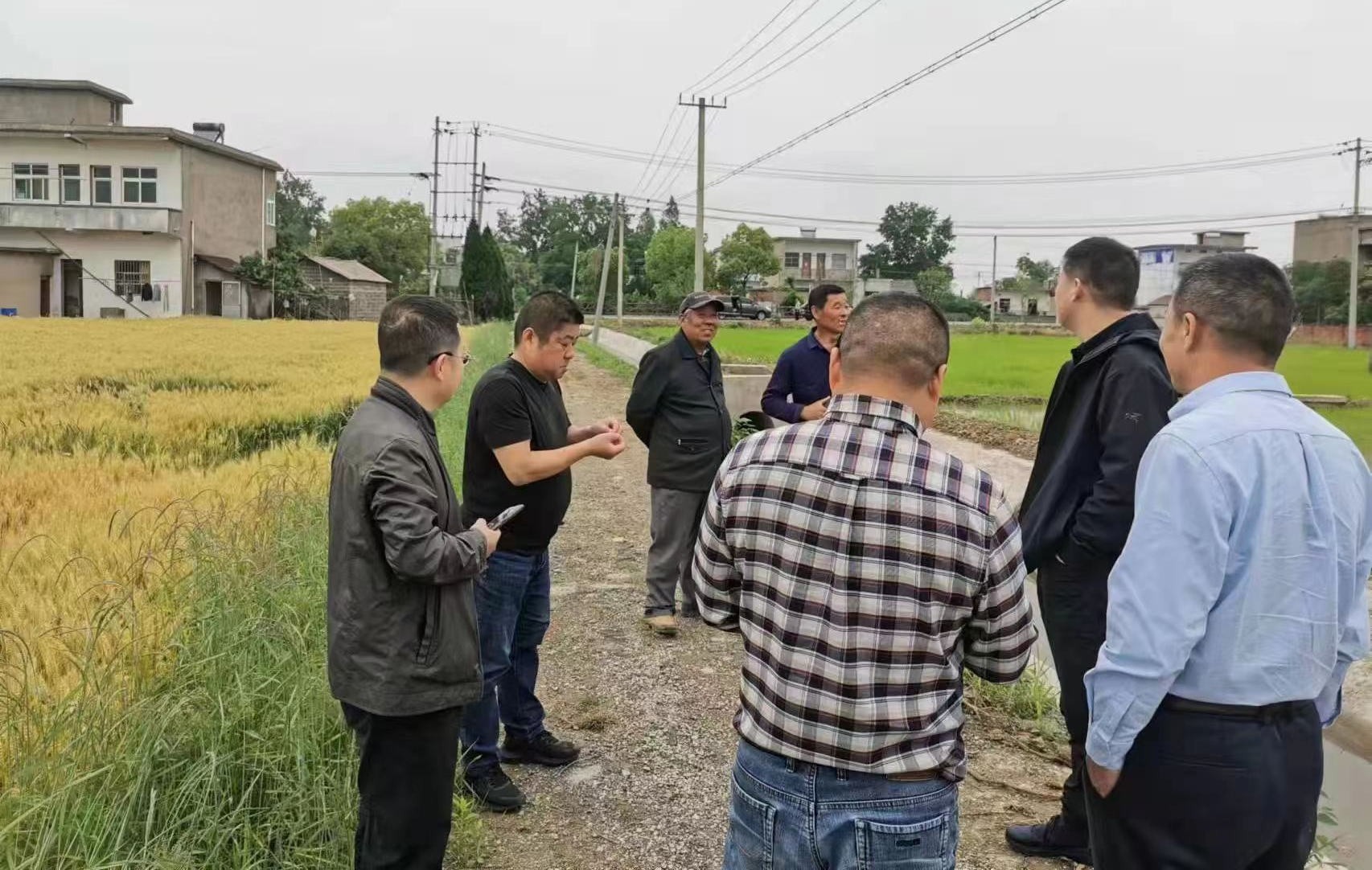 ������Ϸ���ٷ�(�й�)