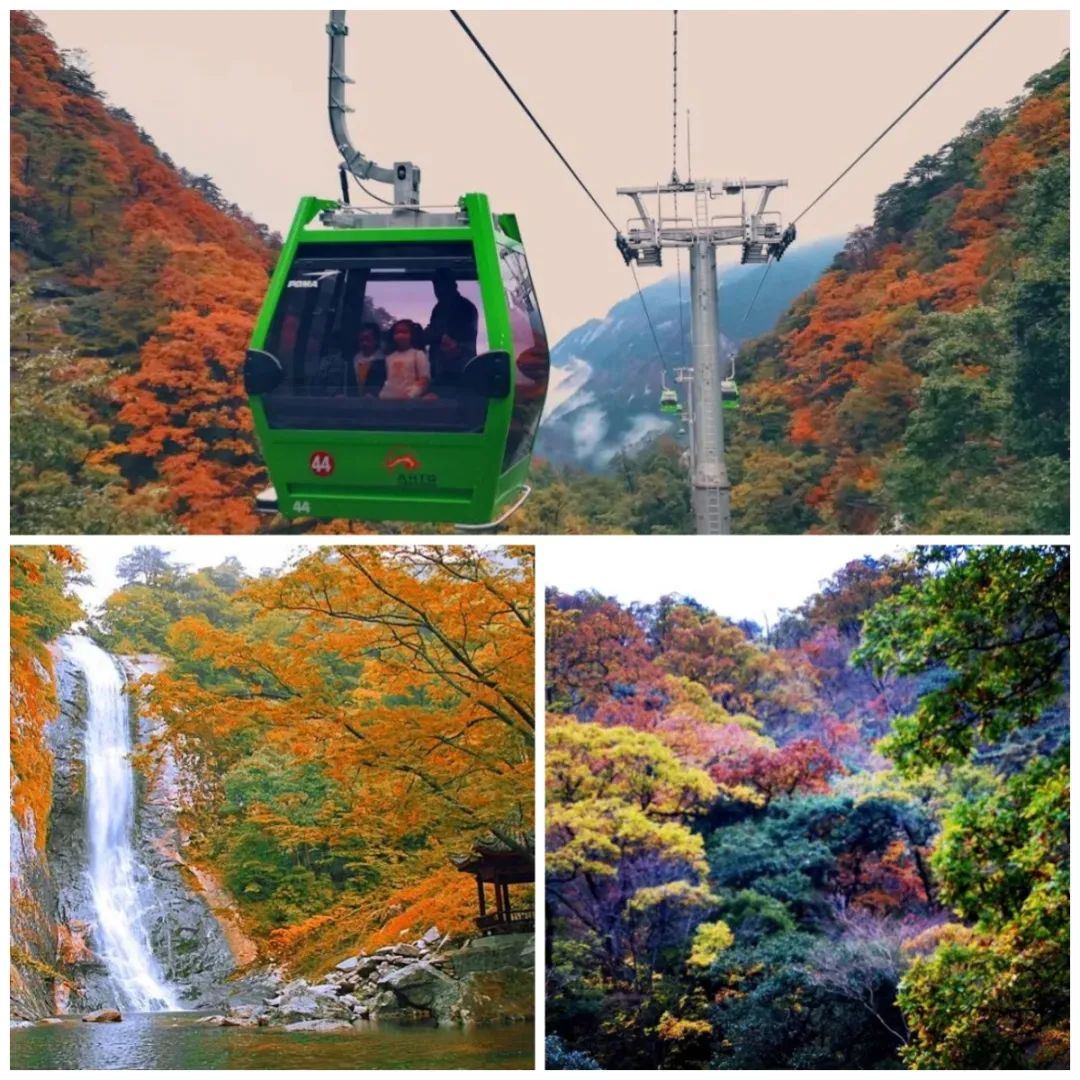 ������Ϸ���ٷ�(�й�)