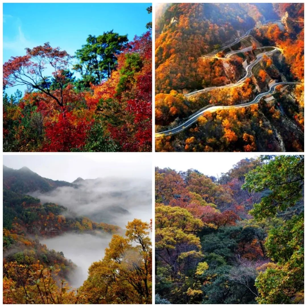 ������Ϸ���ٷ�(�й�)