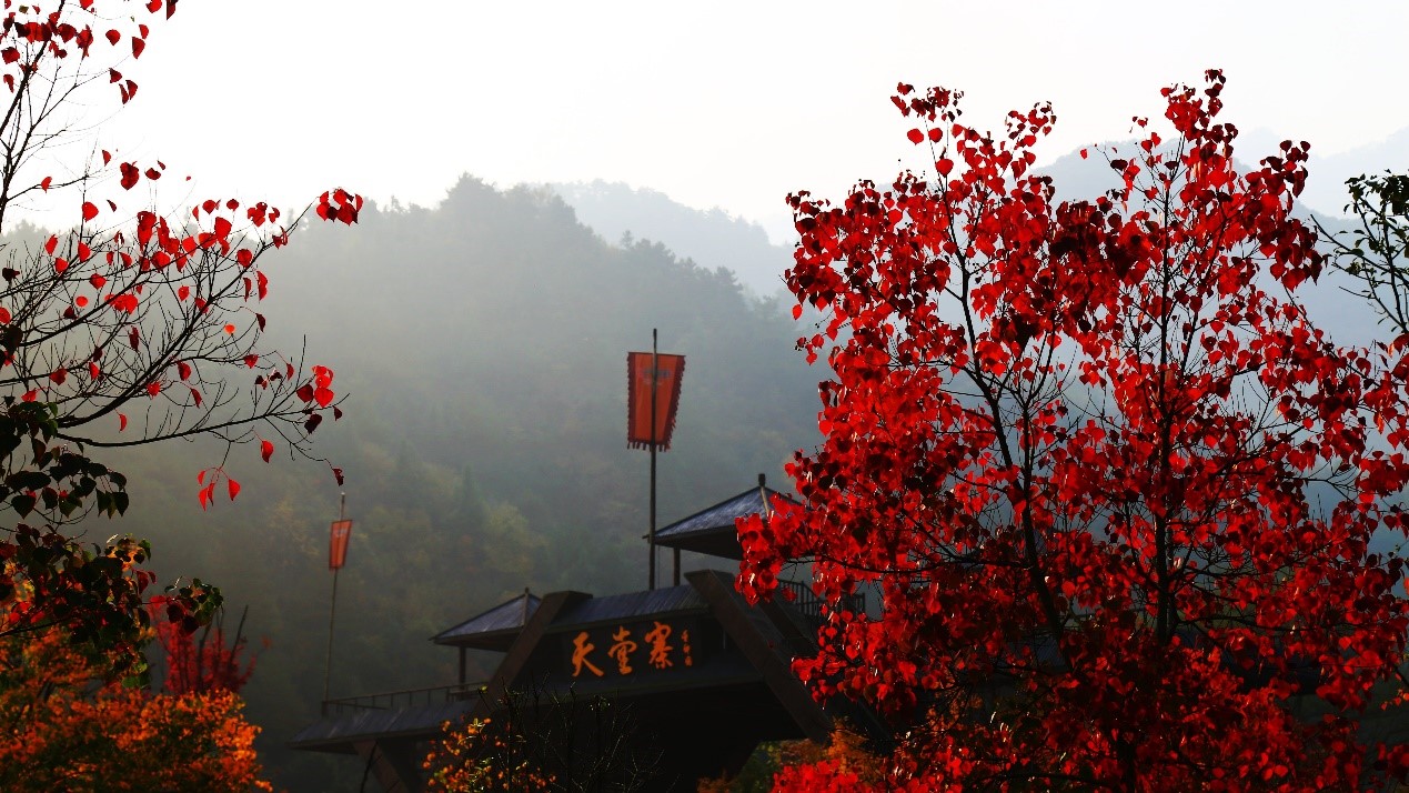 ������Ϸ���ٷ�(�й�)