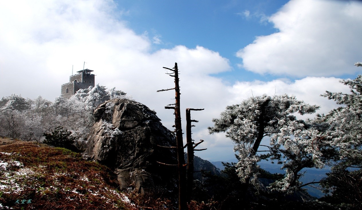 ������Ϸ���ٷ�(�й�)