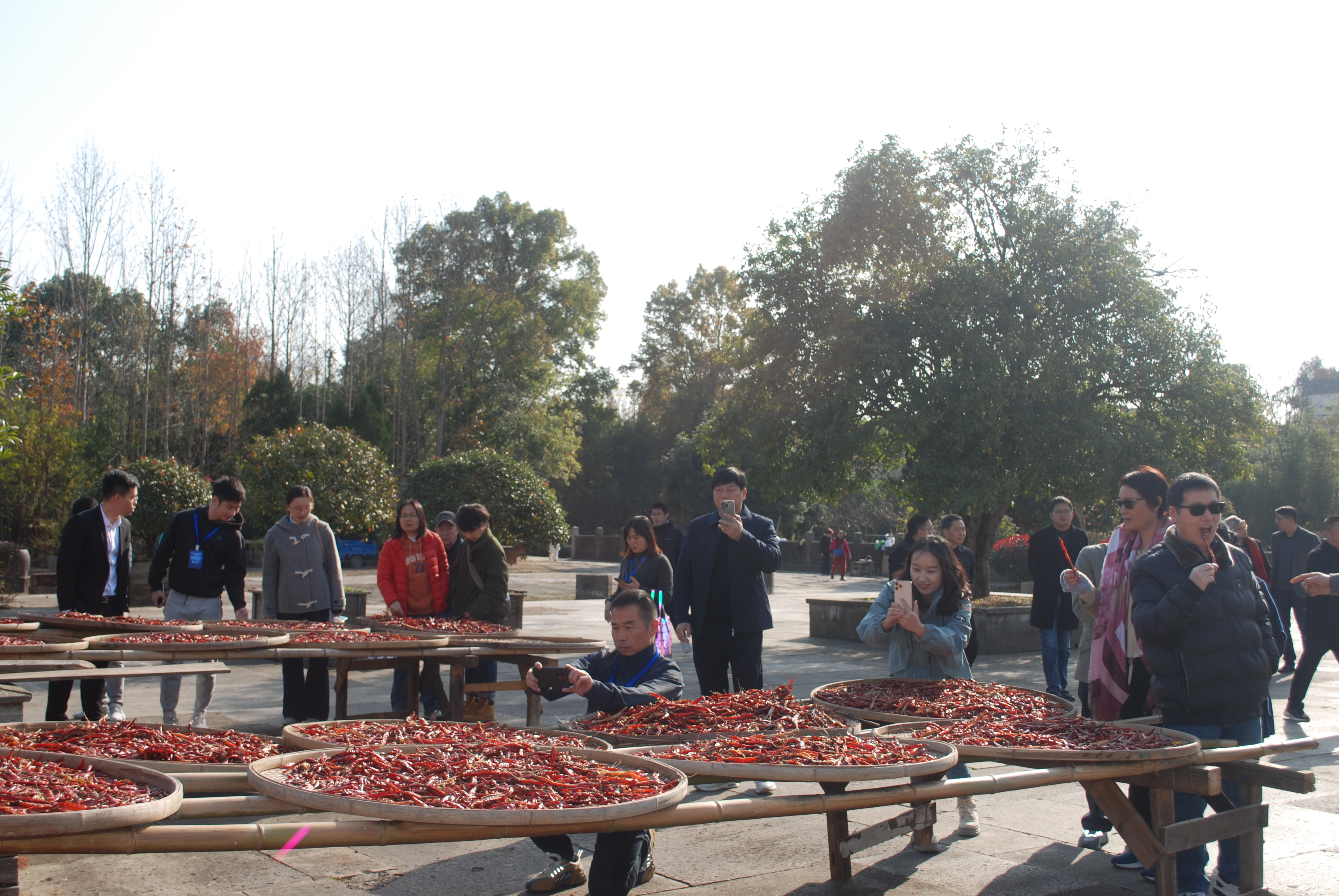 ������Ϸ���ٷ�(�й�)