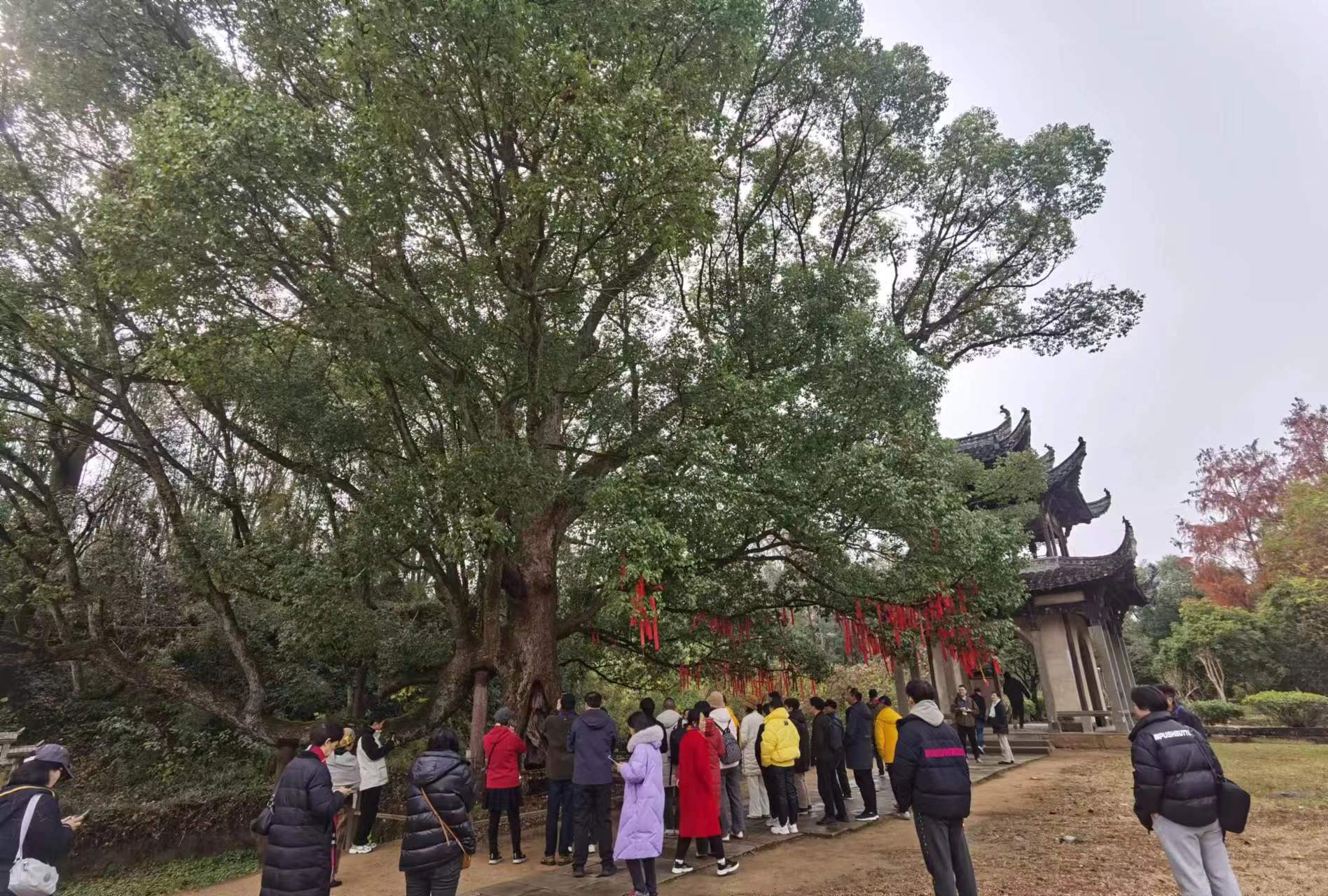 ������Ϸ���ٷ�(�й�)