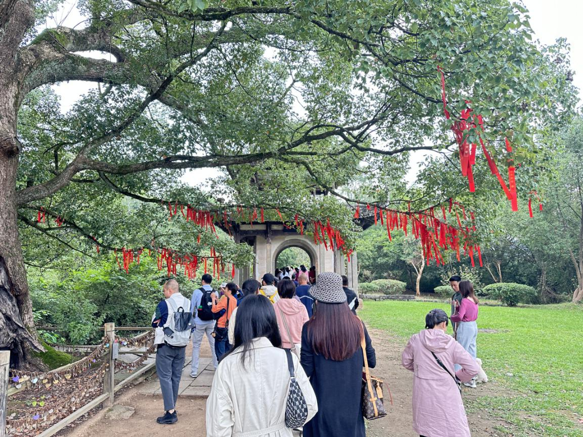 ������Ϸ���ٷ�(�й�)