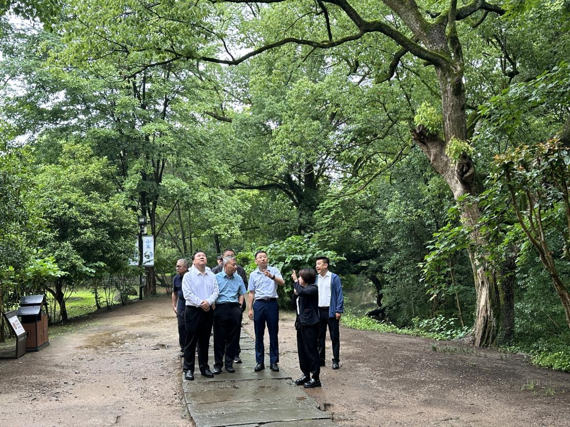 ������Ϸ���ٷ�(�й�)