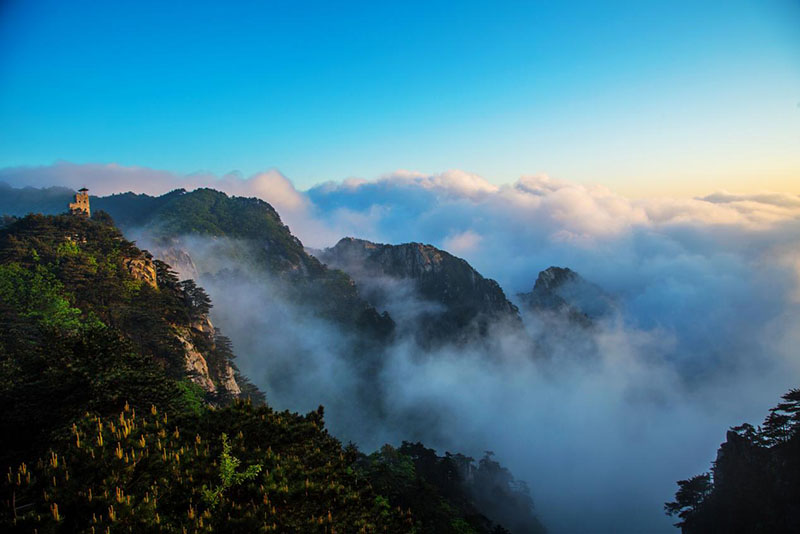 ������Ϸ���ٷ�(�й�)