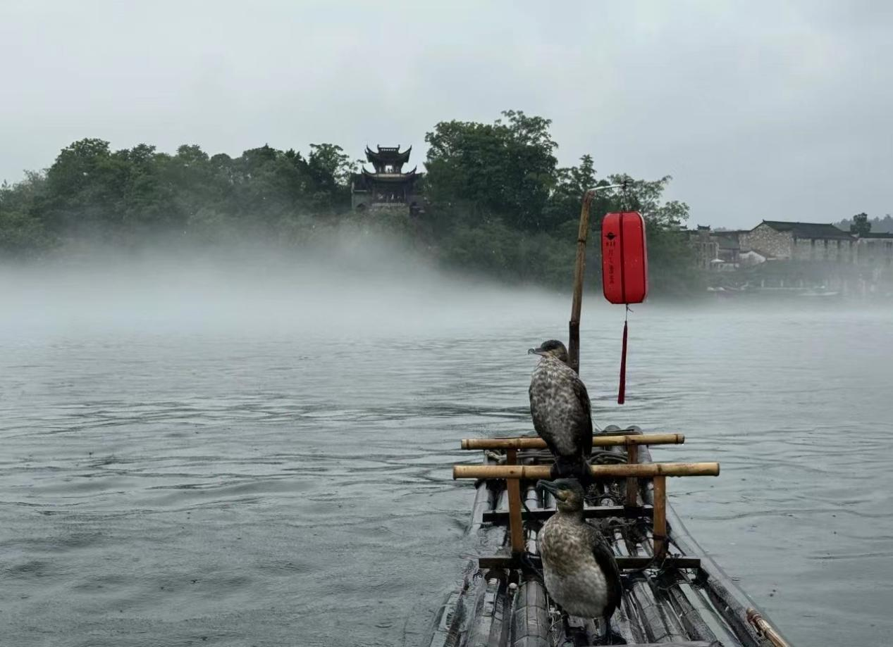 ������Ϸ���ٷ�(�й�)