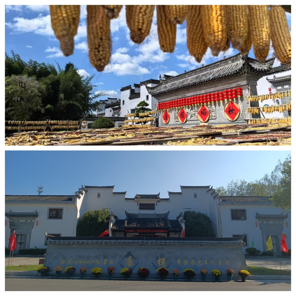 ������Ϸ���ٷ�(�й�)