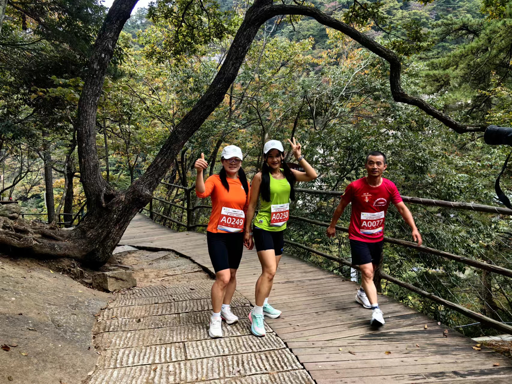 ������Ϸ���ٷ�(�й�)