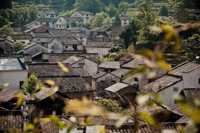 ������Ϸ���ٷ�(�й�)