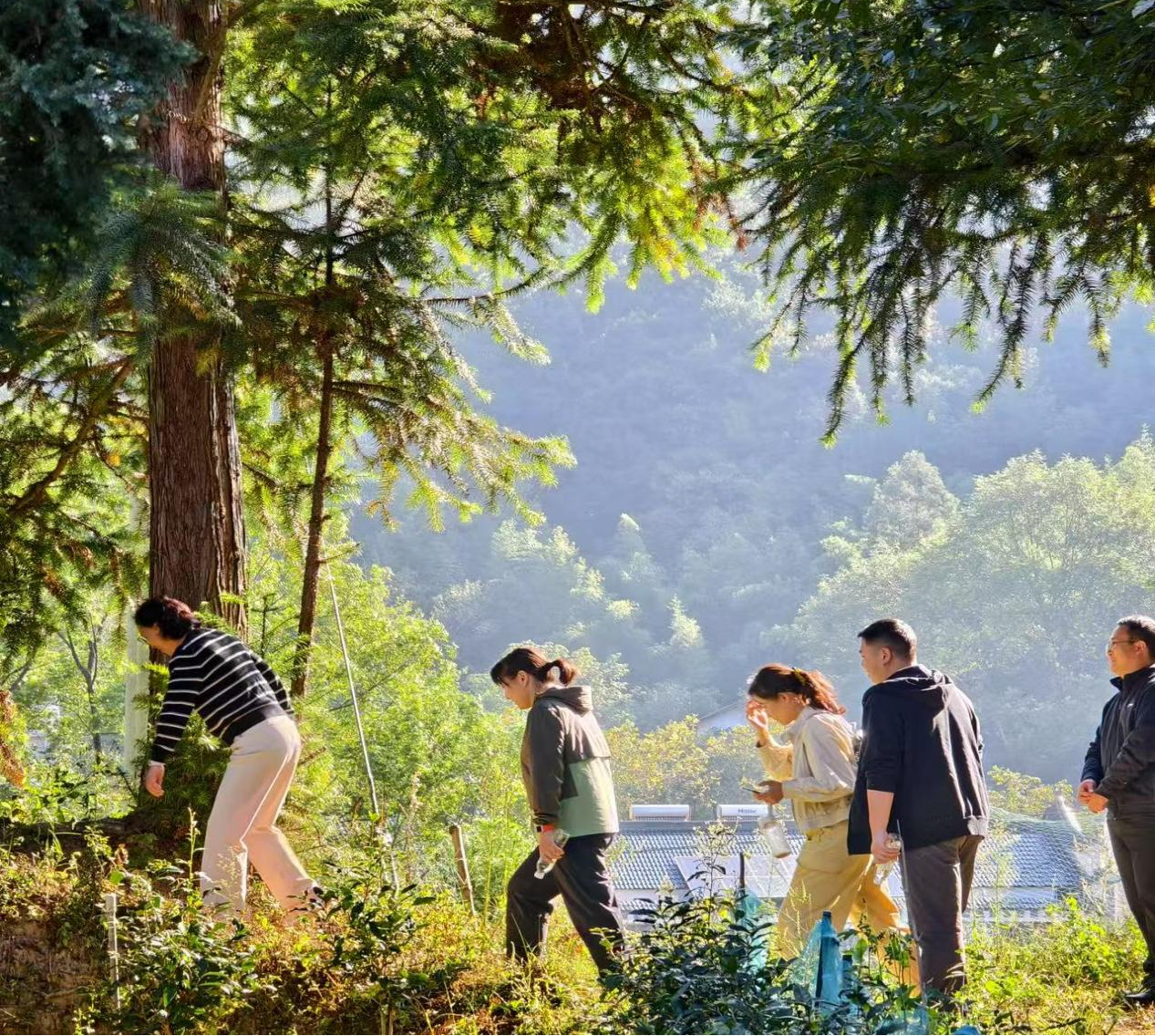 ������Ϸ���ٷ�(�й�)